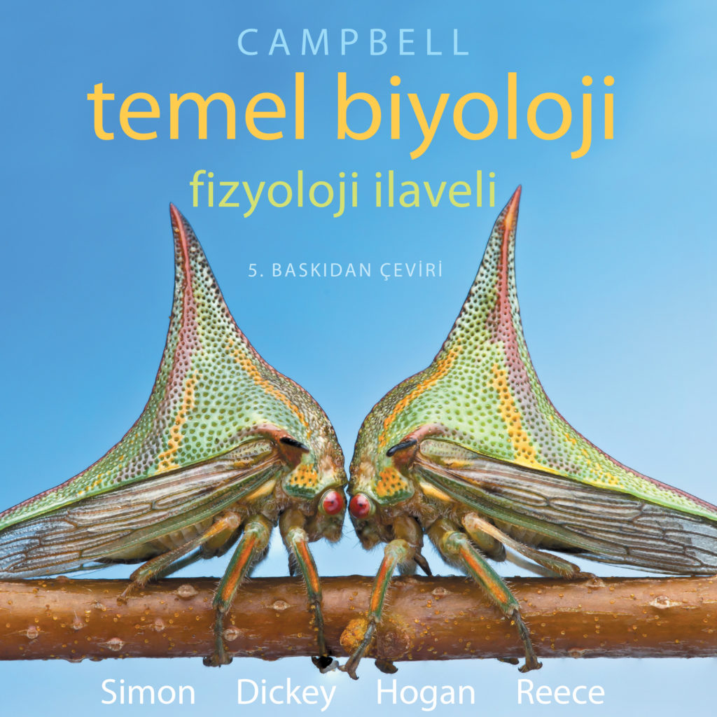 Temel Biyoloji (Campbell) | Agora