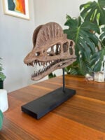 Dilophosaurus - Görsel 4