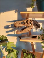 T. rex No.2 - Görsel 4