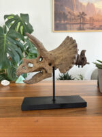 Triceratops No.2 - Görsel 3