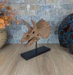 Triceratops - Görsel 6