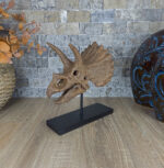 Triceratops No.2 - Görsel 4