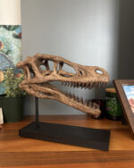 Velociraptor - Görsel 3