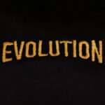 Evolution: Evrim T-Shirt (Nakış, %100 Pamuk) - Görsel 29