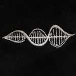 DNA: Yaşamın Özü T-Shirt (Nakış, %100 Pamuk) - Görsel 24