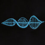 DNA: Yaşamın Özü T-Shirt (Nakış, %100 Pamuk) - Görsel 30