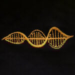 DNA: Yaşamın Özü T-Shirt (Nakış, %100 Pamuk) - Görsel 33