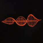 DNA: Yaşamın Özü T-Shirt (Nakış, %100 Pamuk) - Görsel 36