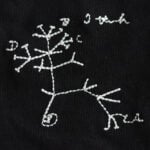 "I think...": Darwin'in Yaşam Ağacı T-Shirt (Nakış, %100 Pamuk) - Görsel 3