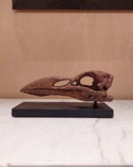 Great Auk Seramik Heykel - Görsel 5