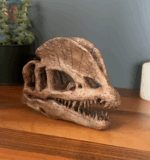 Dilophosaurus Mini Seramik Heykel - Görsel 5