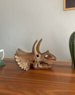 Triceratops Mini Seramik Heykel - Görsel 3
