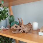 Triceratops Mini Seramik Heykel - Görsel 6