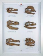 Etobur Dinozorlar 3 Boyutlu Çerçeve Tasarım - Görsel 3