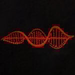 ‘’DNA: Yaşamın Özü’’ Nakış Sweatshirt - Görsel 7