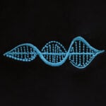 ‘’DNA: Yaşamın Özü’’ Nakış Sweatshirt - Görsel 12