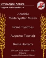 Anadolu Medeniyetleri Müzesi Gezisi 2 - Görsel 2