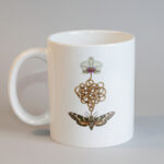 ''Darwin's Chaos'' Kupa