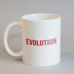 ''Evolution - Evrim'' Kupa