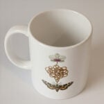 ''Darwin's Chaos'' Kupa - Görsel 2